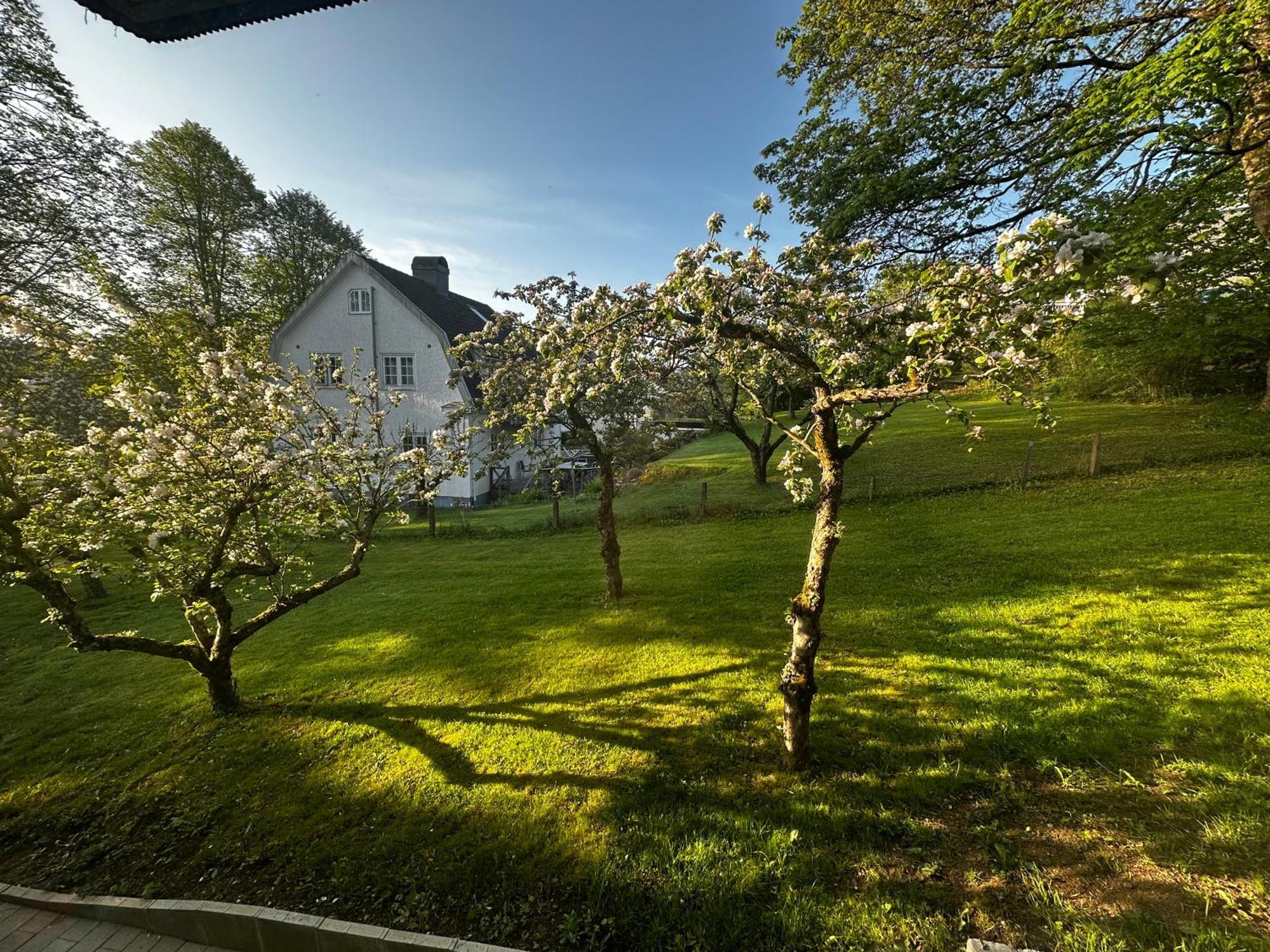 Luxury 2 Rooms Residence At The Heart Of ボロース エクステリア 写真
